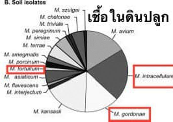 วัณโรคเทียม