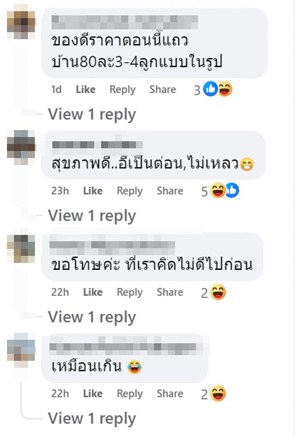 ไข่ปลาดุก ไข่ปลาดุก