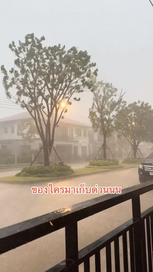 ฝนตกหนัก ลมพัดแรง