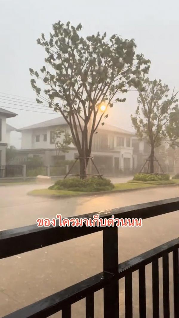 ฝนตกหนัก ลมพัดแรง