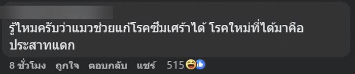 แมวซน ทำมู่ลี่พัง