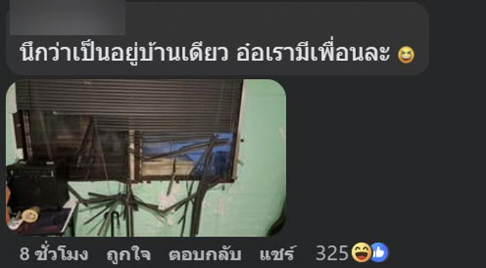 แมวซน ทำมู่ลี่พัง