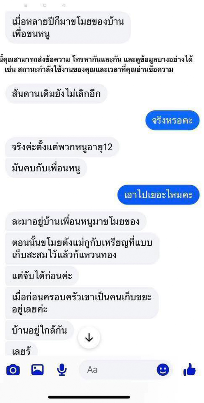 แฟนหนุ่มทรงโจร