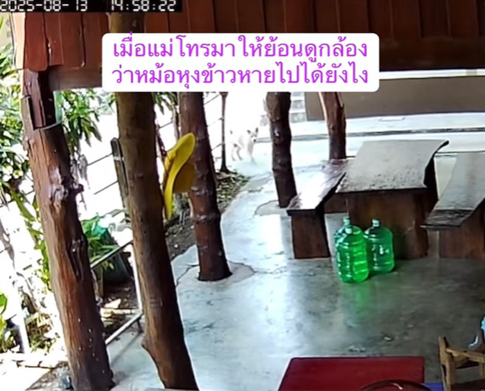 หมอหุงข้าวหาย ใครเอาไป