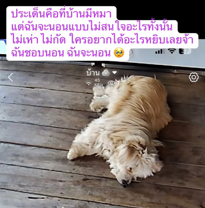 หมอหุงข้าวหาย ใครเอาไป