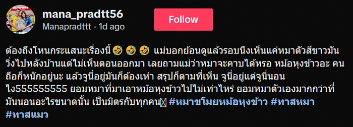 หมอหุงข้าวหาย ใครเอาไป