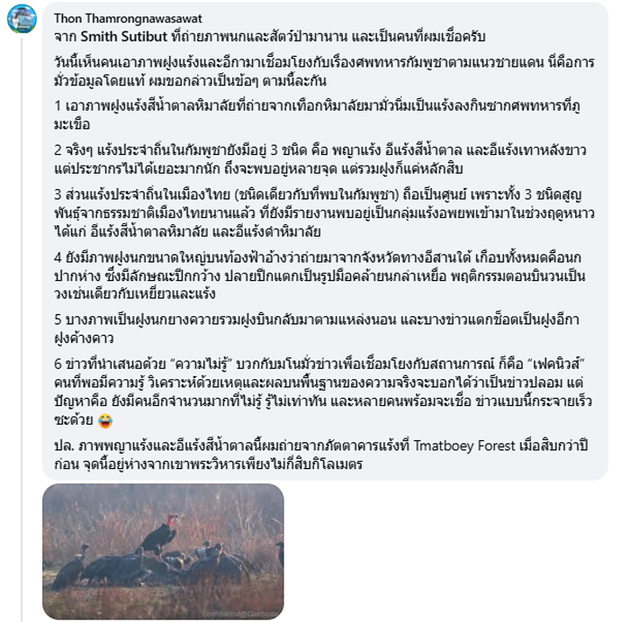 แร้งกินศพทหาร ชายแดนไทย - กัมพูชา แร้งกินศพทหาร ชายแดนไทย - กัมพูชา
