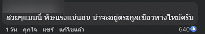 งูสีฟ้า งูสีฟ้า