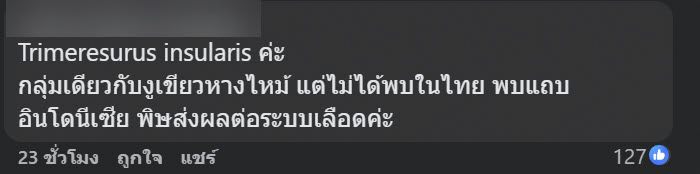 งูสีฟ้า งูสีฟ้า