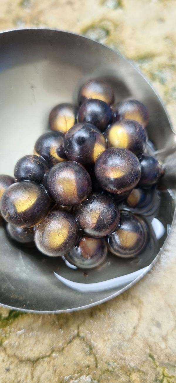 ไข่ปริศนาไหลมากับน้ำ ไข่ปริศนาไหลมากับน้ำ