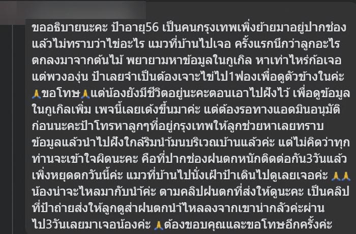 ไข่ปริศนาไหลมากับน้ำ ไข่ปริศนาไหลมากับน้ำ