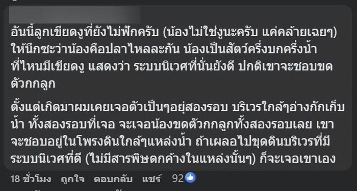ไข่ปริศนาไหลมากับน้ำ ไข่ปริศนาไหลมากับน้ำ