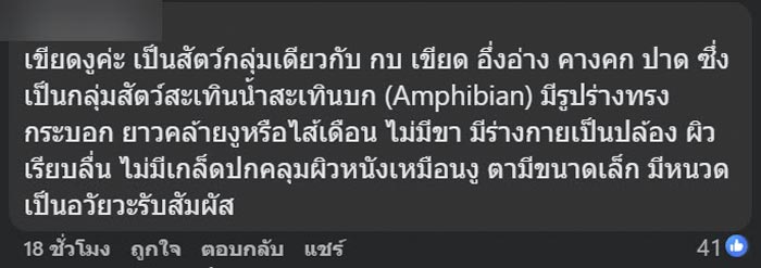 ไข่ปริศนาไหลมากับน้ำ ไข่ปริศนาไหลมากับน้ำ
