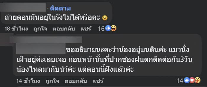 ไข่ปริศนาไหลมากับน้ำ ไข่ปริศนาไหลมากับน้ำ