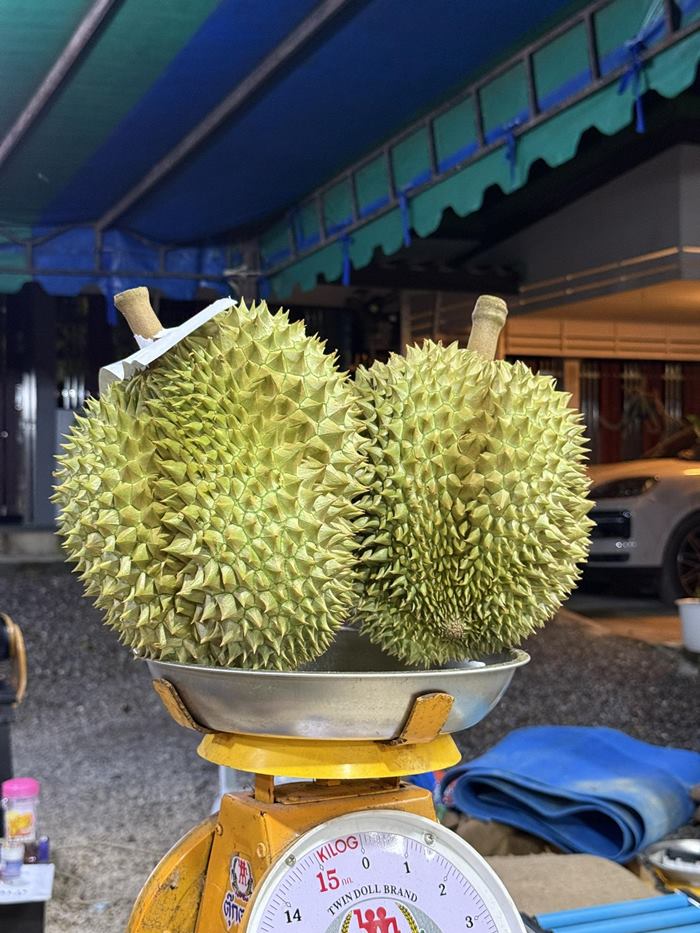 แพรรี่ ไพรวัลย์ 