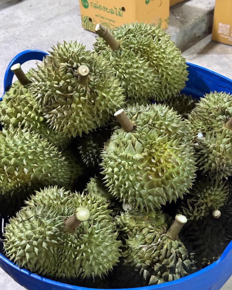 แพรรี่ ไพรวัลย์ 