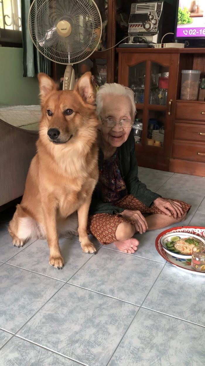 คุณยาย เพจลีโอไอ้หนูของยาย เสียชีวิต