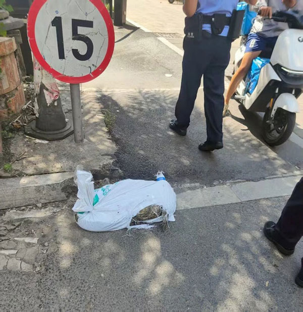 จระเข้ จระเข้