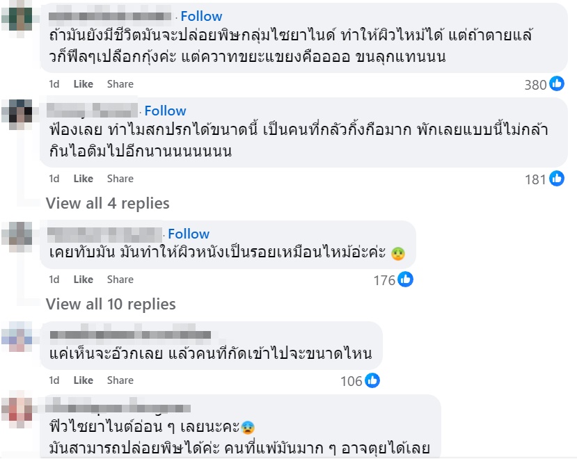 ไอศกรีม