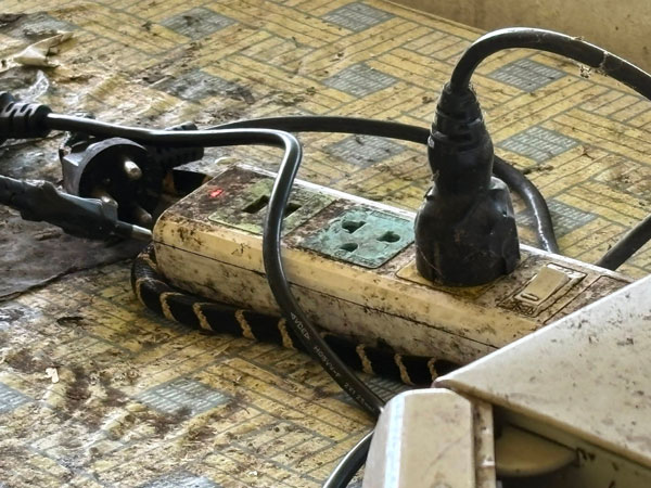 งูจงอาง