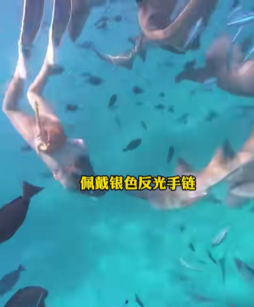 สาวดำน้ำดูฉลาม ไม่หวั่นแม้มี ปจด. ช็อกถูกฉลามกัด