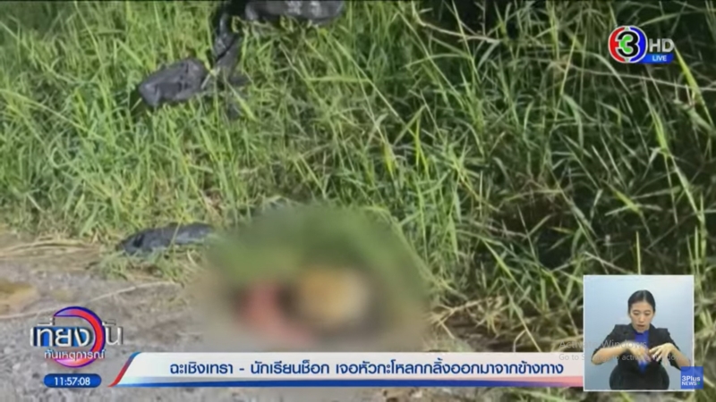 หัวมนุษย์กลิ้งจากพงหญ้า หัวมนุษย์กลิ้งจากพงหญ้า