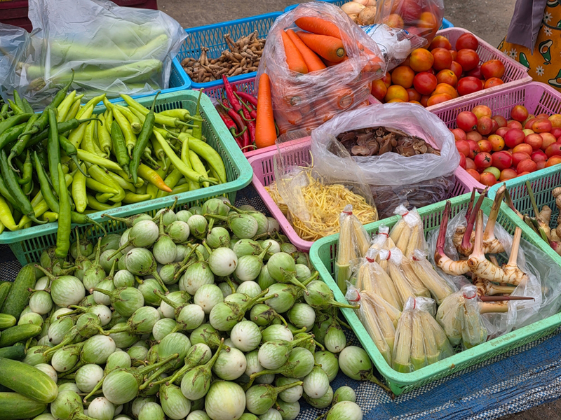 ผักที่เจอพยาธิ 100%