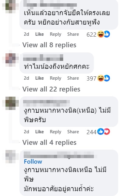 งู