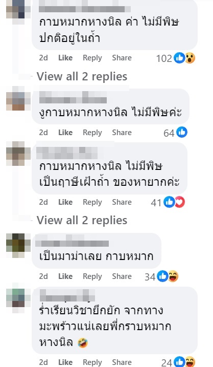 งู
