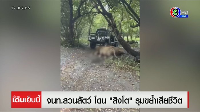 สิงโตทำร้ายเจ้าหน้าที่