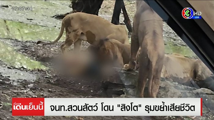 สิงโตทำร้ายเจ้าหน้าที่