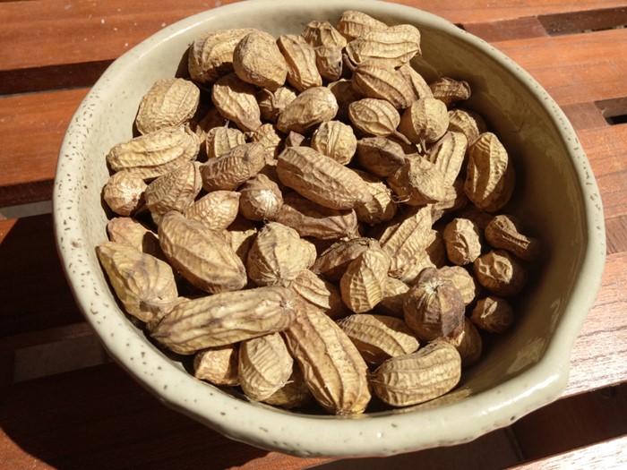 อาหารเพื่อสุขภาพ