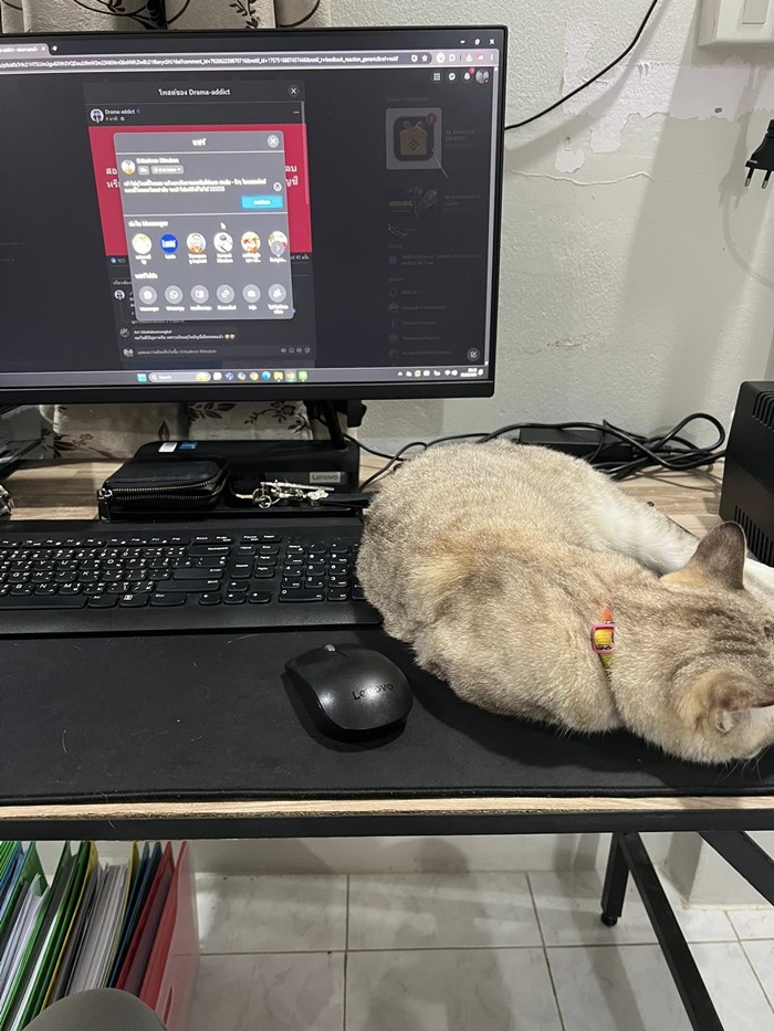  เฉลยแล้ว ใครป่วนเพจดัง