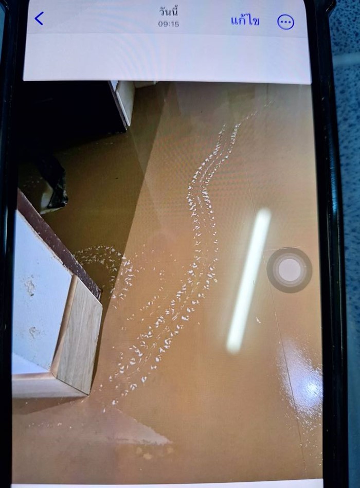 รอยพญานาค โผล่มาหลังน้ำท่วม