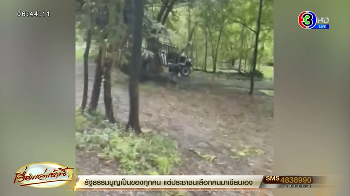 สิงโตทำร้ายคน