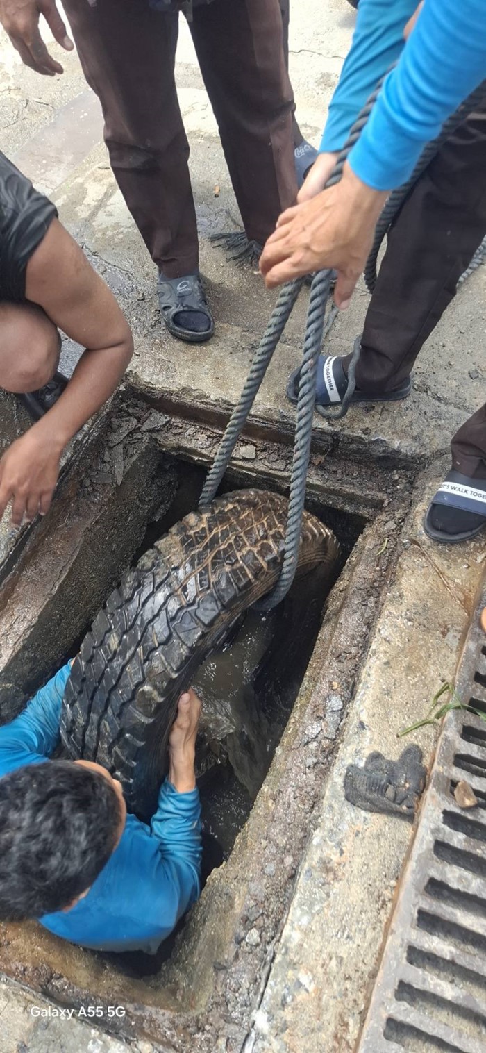  ลอกท่อระบายน้ำ