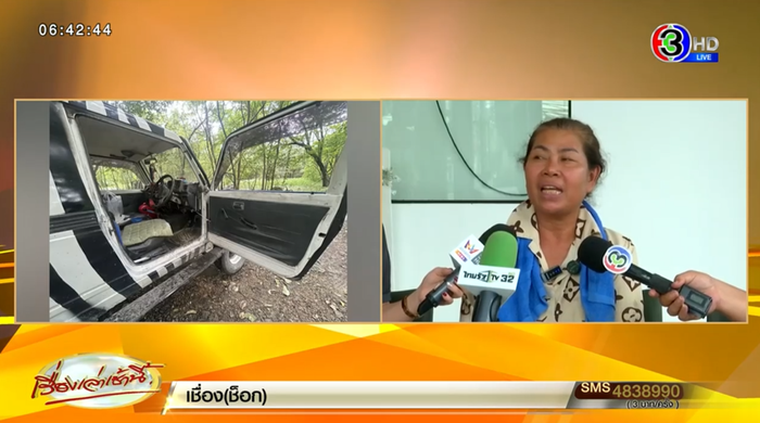 สิงโตทำร้ายคน