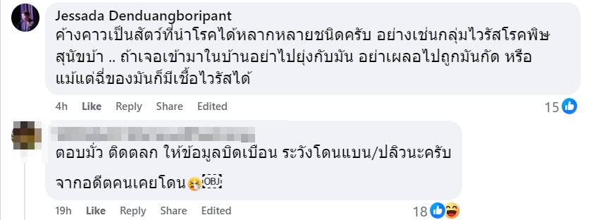 ค้างคาว ค้างคาว