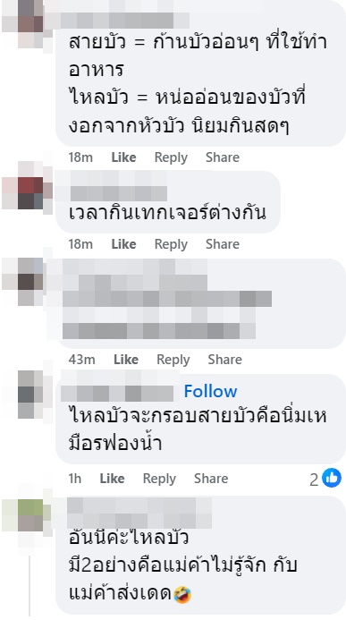 ยำไหลบัว แต่สั่งแล้วได้สายบัว