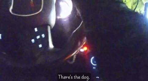 ฮีโร่ 4 ขา พาตำรวจไปช่วยคุณยาย 