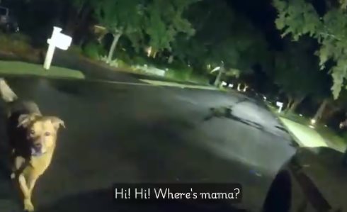 ฮีโร่ 4 ขา พาตำรวจไปช่วยคุณยาย 