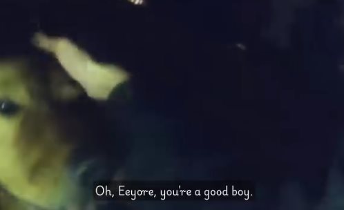 ฮีโร่ 4 ขา พาตำรวจไปช่วยคุณยาย 