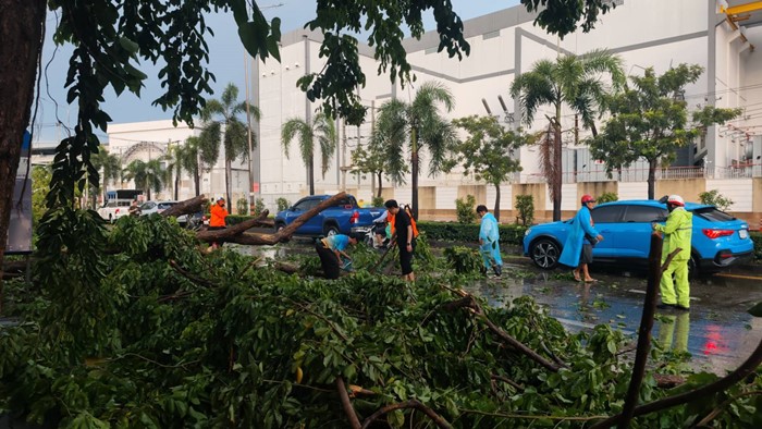  ฝนถล่มกรุงเทพฯ เช้ามืด ต้นไม้ล้ม เสาไฟโค่น รถพังเพียบ จราจรติดขัด
