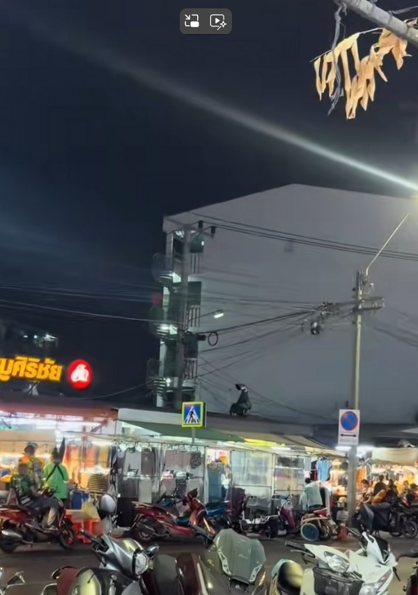 ความจริงของไรเดอร์บนหลังคา