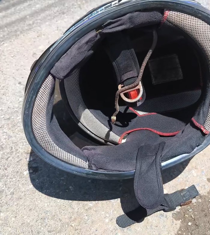 งูในหมวกกันน็อก