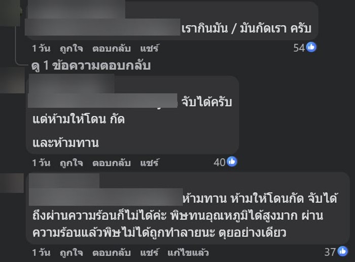 หมึกบลูริง