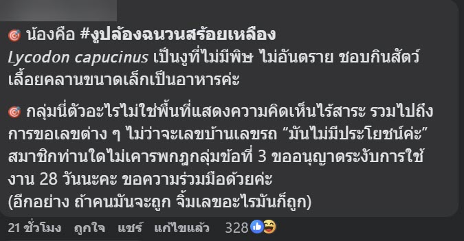 งูในหมวกกันน็อก