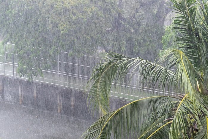 พยากรณ์อากาศ