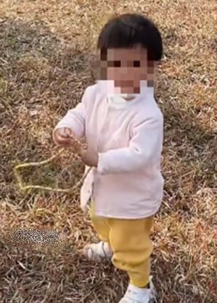 เจอทองคำเส้นโต 3 แสน เจอทองคำเส้นโต 3 แสน