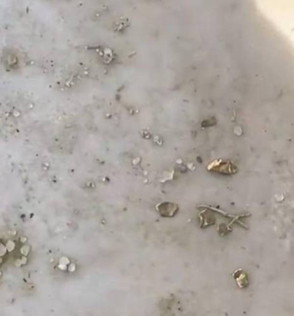  ชายเจอทองในท้องเป็ด กว่าครึ่งแสน